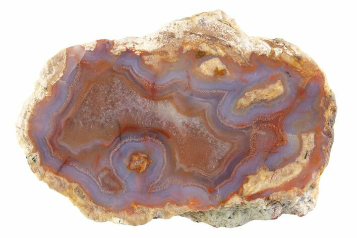 Polished Red Hot (Berrendo) Thunderegg Half - Mexico #373215